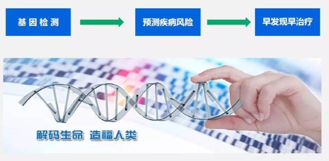 消费仪式设计：让购物不只是交易，更是一次身心的享受