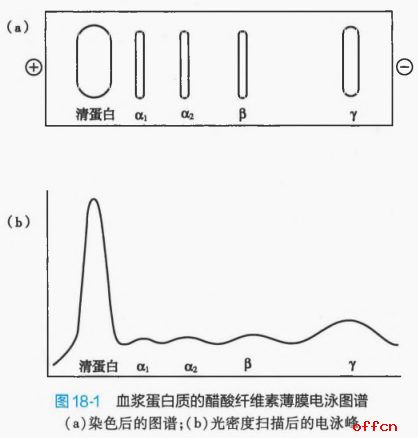圈层话语体系：打破社交壁垒，助力品牌崛起