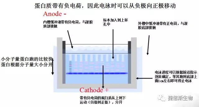 用户价值资本：新时代企业成功的关键